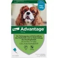 Produktbild: Advantage 100 Hund 4 St