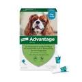 Produktbild: Elanco Advantage Spot-On 100 für kleine Hunde von 4 bis 10 kg Körpergewicht, schnelle Bekämpfung von Flöhen und Schutz vor Flohbefall für bis zu 4 Wochen, 4 Pipetten mit 1,0 ml Lösung