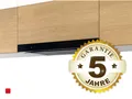 Produktbild: Berbel Glassline BEH 60 GL - 1070094 Flachschirmhaube Schwarz Abzugshaube 60cm