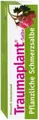 Produktbild: TRAUMAPLANT Schmerzcreme 100 g