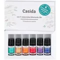Produktbild: Casida Top 6 Ätherische Duftmischungen 30 ml