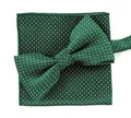 Produktbild: axy Herren Fliege mit Einstecktuch als Set zum Anzug, bereits vorgebunden, Schleife Konfirmation verstellbar (Grün gepunktet)