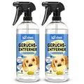 Produktbild: bio-chem Hunde Geruchsentferner Spray 2x 750 ml - Enzymreiniger mit Mikroorganismen - Geruchsneutralisierer gegen Hundeurin Geruch - Entfernt Gerüche aus Sofa, Teppich, Polster nachhaltig - Made in DE