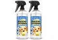 Produktbild: bio-chem Geruchsentferner Enzymreiniger 750 ML für Hunde- & Tiergerüche (2x Geruchsentferner Hund 0.75 l Handsprayflasche)