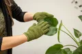 Produktbild: PflanzenStaubhandschuhe Grün  Mikrofaser