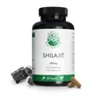Produktbild: Green Naturals Shilajit 1300 mg hochdosiert vegan KAP, 139.0 g