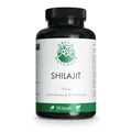 Produktbild: 2x GREEN NATURALS Shilajit 1300 mg hochdos.vegan Kps. 180 ST