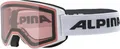 Produktbild: Alpina Sports Skibrille NARKOJA Q