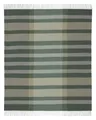 Produktbild: Biederlack Kaschmirplaid 'Moss Charming' 150 x 200 cm Grün -  823403