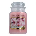 Produktbild: Yankee Candle Housewarmer Cherry Blossom 623 g