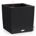 Produktbild: LECHUZA® Pflanzgefäße CUBE Cottage 30 Graphitschwarz All-in-One