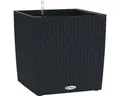 Produktbild: Pflanztopf Lechuza Cube Cottage Kunststoff 31,5 x 31,5 x 32 cm schwarz inkl. Erd