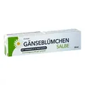 Produktbild: Gänseblümchen Salbe mit Hamamelis & Panthenol