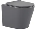 Produktbild: Wand-WC Set Nakia Tiefspüler ohne Spülrand kurz dunkelgrau matt mit WC-Sitz 1281