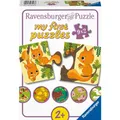 Produktbild: Tiere und ihre kleinen Freunde Puzzle, 9x2tlg.