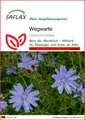 Produktbild: SAFLAX  - Wegwarte - Cichorium - 250 Samen