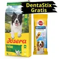 Produktbild: JOSERA Festival 12,5 kg + PEDIGREE DentaStix GRATIS!