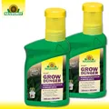 Produktbild: Neudorff 2 x 250 ml Azet GrowDünger Anzucht Blüte Ernte 100% natürlich vegan
