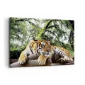 Produktbild: Wandbilder 100x70cm Leinwandbild Tiger Dschungel Ruhe Groß Bilder Art Wanddeko
