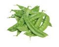 Produktbild: Kunstpflanze Grüne Künstliche Erbsen Gemüse-Deko 11,5cm 24 Stück Real-Touch Effekt, Viana, Höhe 0.5 cm