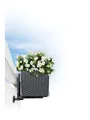 Produktbild: Lechuza® Blumenkastenhalter Lechuza Balkonkastenhalter schwarz