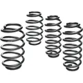 Produktbild: Eibach Prokit Tieferlegungsfedern E10750031022