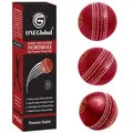 Produktbild: Soft & Safe Practice Cricket Ball | Weicher & Sicherer Gummi-Cricketball zum ...