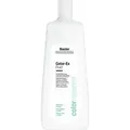 Produktbild: basler Professional Color-Ex Fluid Sparflasche 1 Liter