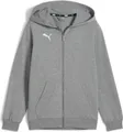 Produktbild: Puma Teamgoal Hooded Sweat Full Zip Kinder - Hellgrau Meliert