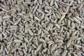 Produktbild: 1000Kräuter Kiefernsprossen ganz Kiefernknospen Kräutertee Tee 200 g