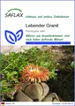 Produktbild: SAFLAX Blumensamen SAFLAX - Samen - Lebender Granit