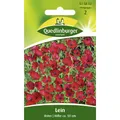 Produktbild: Lein, Roter