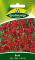 Produktbild: LEIN 
