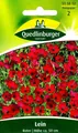 Produktbild: Lein Rot - Dauerblüher mit stark verzweigten Stängeln - Blumen Samen Saatgut