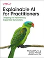 Produktbild: David Pitman Michael Munn Explainable AI for Practitioners (Taschenbuch)
