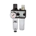 Produktbild: RIEGLER 100566 Wartungseinheit MULTIFIX Gewinde G 1/4 '' halbautomatisch BG I 2-