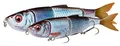 Produktbild: Savage Gear 4Play V2 Swim N Jerk - 3D gescannter Heringsschwimmköder für Raubfischangler, realistische Aktion, Stop & Go Techniken, ideal für Hecht, Barsch & mehr | Slow Sink Rudd 13,5 cm