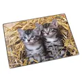 Produktbild: Läufer Motiv 40x53 Katze/Stroh (53 x 40 cm) (4006677466374)