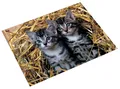 Produktbild: Läufer Schreibunterlage Katzen im Stroh 400 x 530 mm