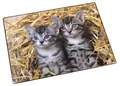 Produktbild: Läufer Schreibunterlage Katzen im Stroh, 400 x 530 mm