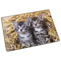 Produktbild: Läufer Schreibunterlage Katzen rutschfest Kinder Schreibtischunterlage 40x53cm