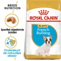 Produktbild: Royal Canin Französische Bulldogge Welpe - 3 kg