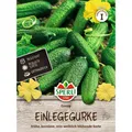 Produktbild: Mein schöner Garten DE SPERLI's Einlegegurken-Samen 'Conny', F1 EH001592-001