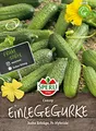 Produktbild: 80718 Sperli Premium Gurken Samen Conny | Freilandgurke | Gewächshausgurke | Gurken Samen Freiland | Gurkensamen | Mini Gurken Samen | Freilandgurken Samen | Gurkensamen Gewächshaus | Samen Gurke | F1
