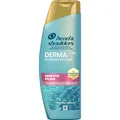 Produktbild: Head & Shoulders Derma X Pro Sensitive (Flüssiges Shampoo, 250 ml) (8700216496032)