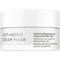 Produktbild: Anti-Aging Cream Mask