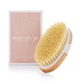 Produktbild: Dry Brushing Körperbürste – Am besten zum Peeling trockener Haut, Lymphdrainage und Cellulite-Behandlung – Bio-Spa-Peeling- und Massage-Peelingbürste mit natürlichen Wildschweinborsten (oval)