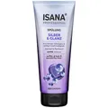 Produktbild: ISANA PROFESSIONAL SILBER & GLANZ Spülung 200 ml