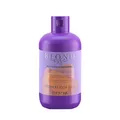 Produktbild: Shampoo Antiarancio für Haar INEBRYA Blondesse No-Orange shampoo 300ml