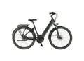 Produktbild: Prophete E-Bike Geniesser 4.0 City 28